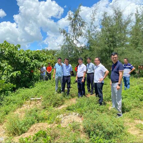 未雨绸缪，锻炼队伍，查找不足——龙华区举行水域救援实战演练