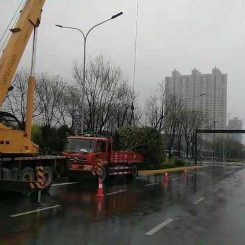 顶风冒雨栽树忙，抓时机、抢时间，造林绿化扮靓航天！