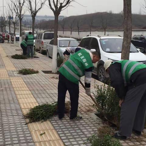 植树增绿正当时，航天基地绿化公司积极开展春季植树活动。