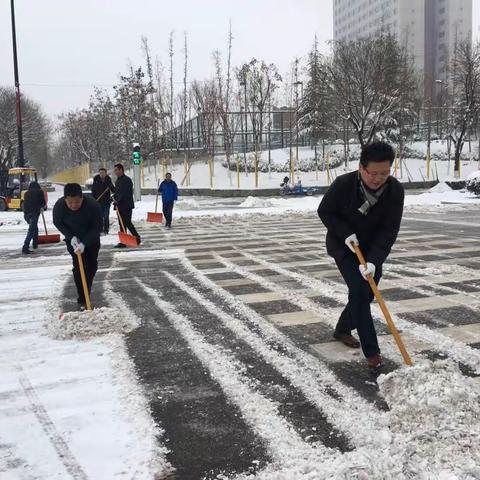 育种公司全员开展除冰扫雪，确保群众安全出行。