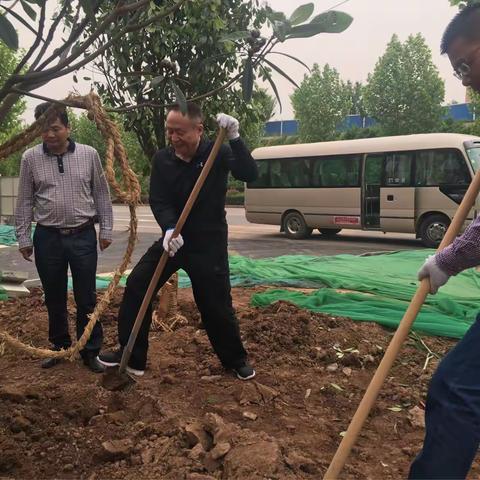 航天基地管委会义务植树不停歇