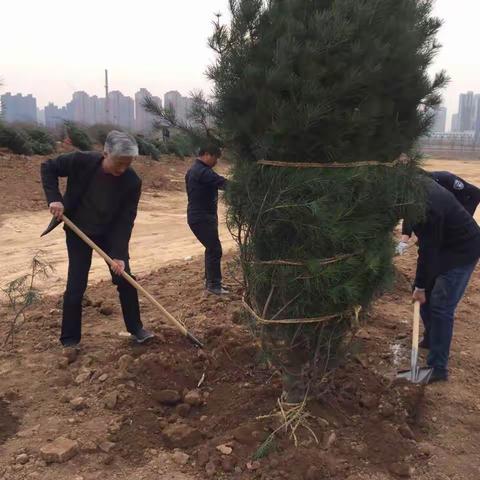 绿化植树正当时，航天基地管委会继续开展义务植树活动。