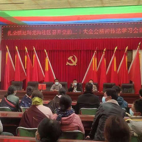 书记叶江在学习党的二十大传达社区党员及居民