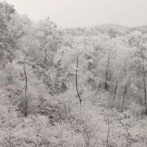 刘家湾幼儿园小二班12月活动剪影