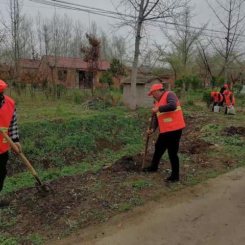 下湾村一个月来环境整治情况