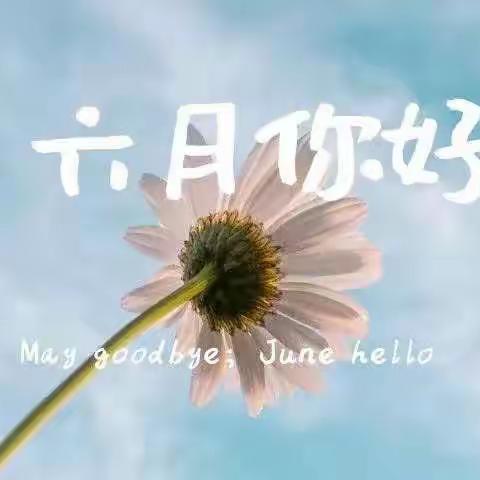 桃溪苑6月份服务报告