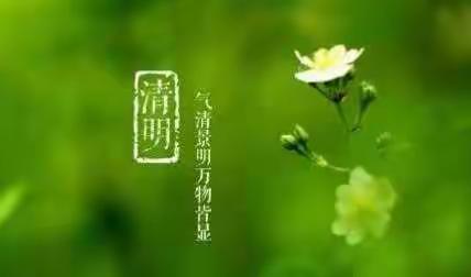 清明节免费公交开通啦