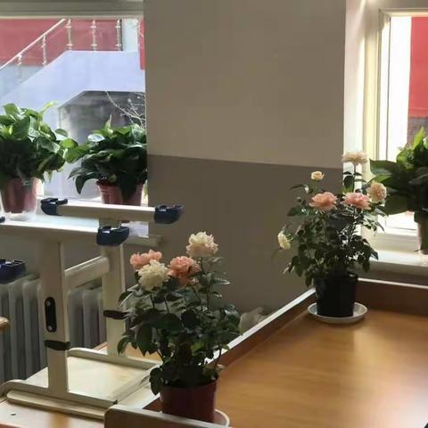 世纪城二年三班----我们的家