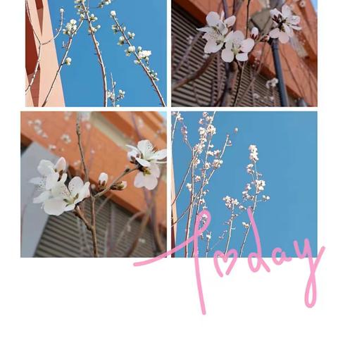 花儿与少年------承德市世纪城小学二年三班 周报实录