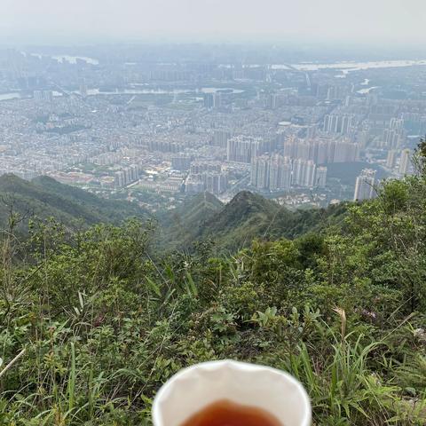 爬山涉水总相宜