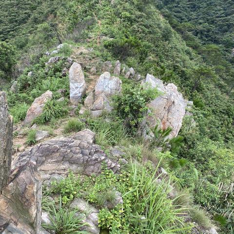 青少年科学学习方法与错误行为纠正