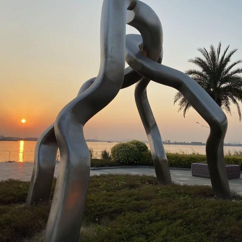 探索生活艺术背后的逻辑及科学