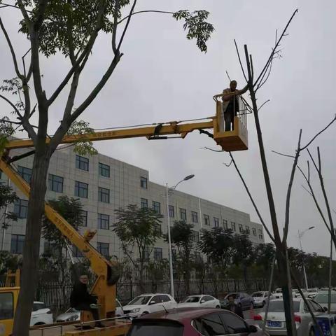 航天基地秋冬绿化施工忙