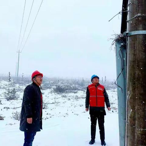 国网雄安新区雄县供电公司雪后特巡保供电