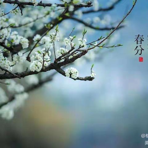 不负春光，快乐起航——企鹅班活动美篇（五）