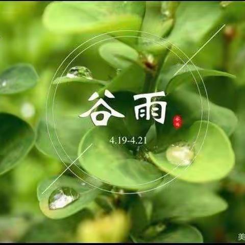 快乐成长，记录📸美好！——企鹅班活动美篇（十）