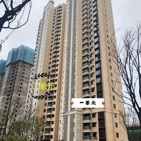 204中低高层采光&小区施工进度细节篇