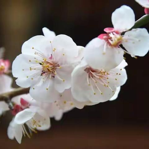 第6--9页答案，供参考