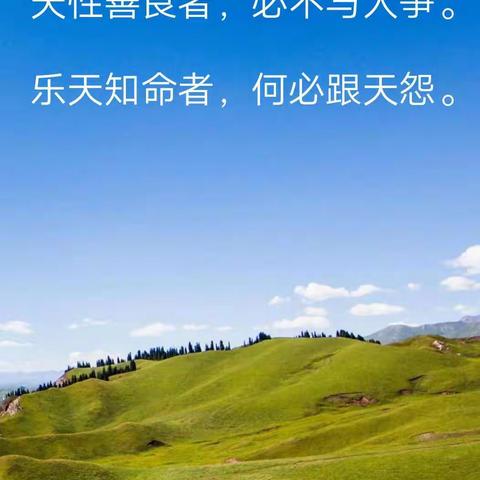 我不是诗人