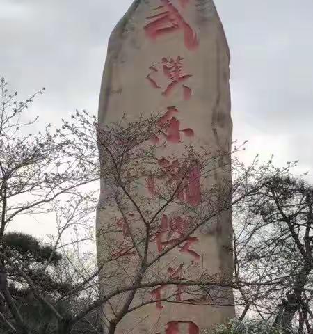 三月的武汉