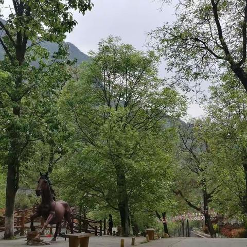 文县城郊滴水崖-火烧関风景