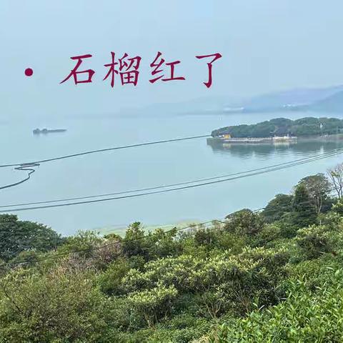 西山·石榴红了