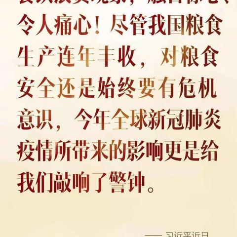 盘中粒粒皆辛苦，光盘行动你我助—四都中小“光盘行动”纪实