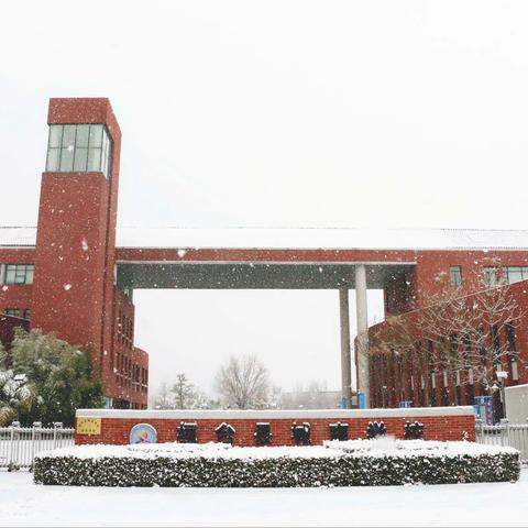 城南初雪图鉴