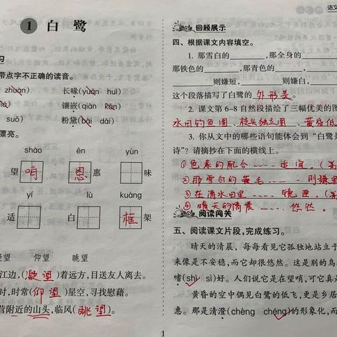 五上《语文同步练习册》答案