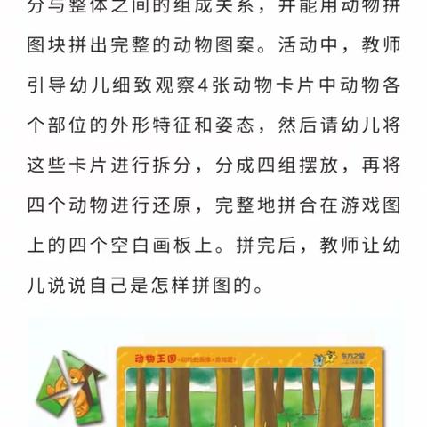 思维游戏《动物王国》活动反馈