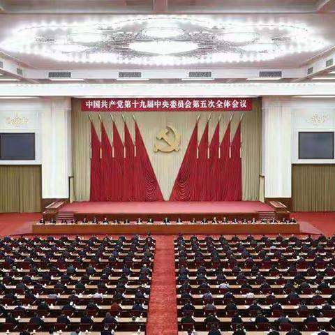 青春逐梦心向党，砥砺奋进新征程——辛置学校少先队开展红领巾学全会的主题活动