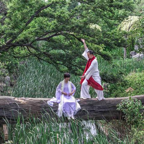 无师觉舞·中道禅舞