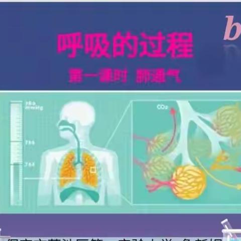 “发现-迁移”教学模式课例深度研讨——莲池区13中片区初中生物教研活动