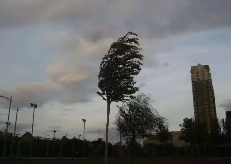 【温馨提示】物业关于大风天气的温馨提示