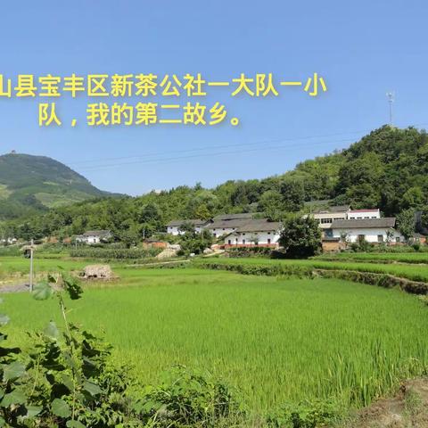 难忘的回忆