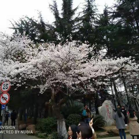 时间都去哪儿—回忆大学年代