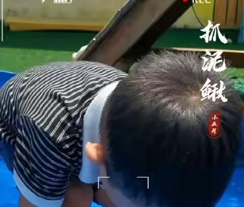 金果果幼儿园趣味捉泥鳅活动