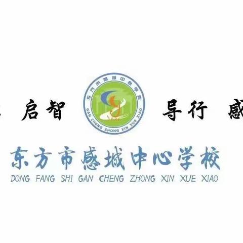 新教师，新风采——感城中心学校新教师“人人公开课”展示课活动