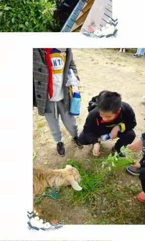 我和春天一起成长——记溧阳市实验小学五年级生命教育活动