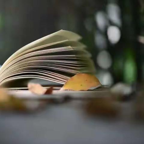 点燃读书激情，开启智慧之门———大章镇中心小学寒假阅读成果展示