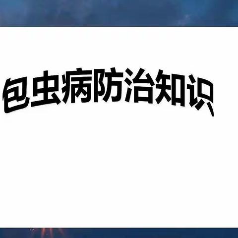 预防包虫病  从我做起—— 城关第三幼儿园大班“预防包虫病”宣传活动