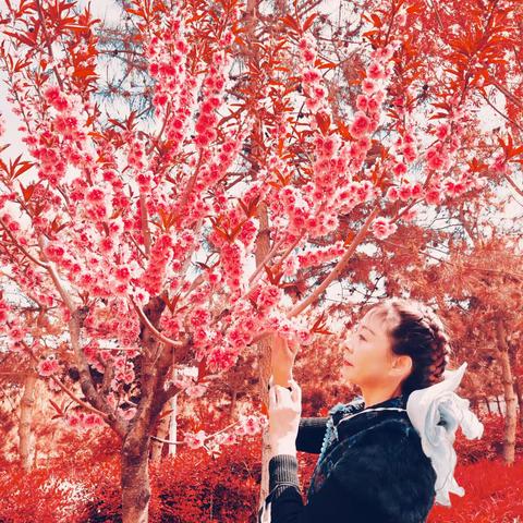 桃花红 李花香，浅白深红斗新妆