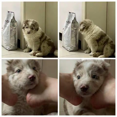 我知道我会对你负责