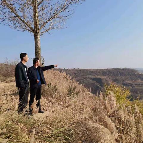 双河镇：紧盯目标 保证质量 迅速掀起退耕还林补植补造工作热潮