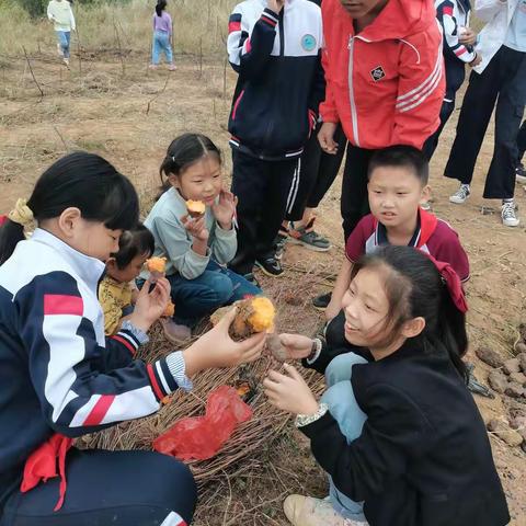 丰阳智慧园教育机构校外体验篇