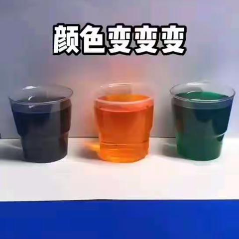 中班组第十五周活动2