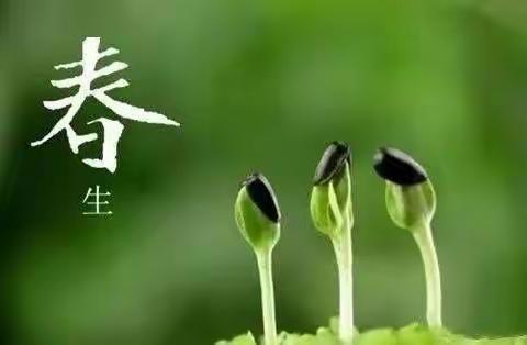 春暖花开，为你而来！