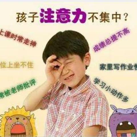 五家渠市贝鸟语城幼儿园  《专注力》课程开课啦！