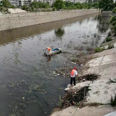 顺城区城乡结合部环境综合整治“大会战”简报6.9