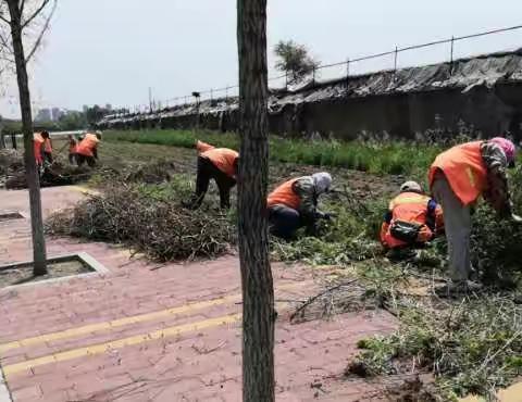 顺城区城乡结合部（城区）环境综合整治“大会战”